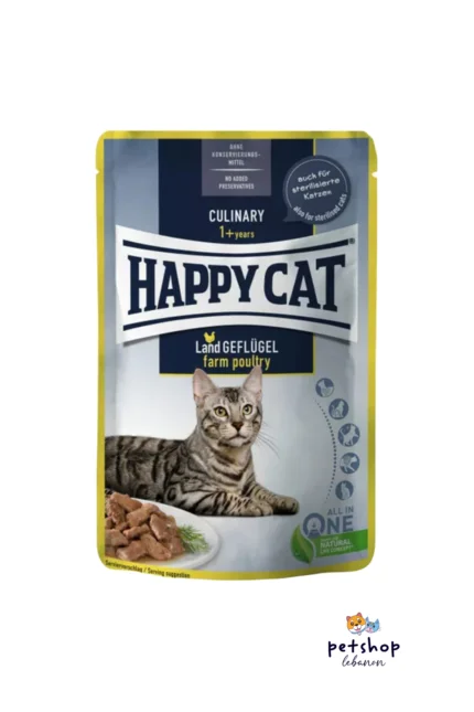 Happy 2024 cat shop