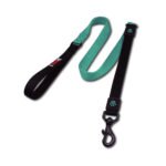 Doco - 4ft Shock Absorbing BUNGEE Nylon Dog Leash Turquoise -dogs-from-PetShopLebanon.Com-the-best-Online-Pet-Shop-in-Lebanon