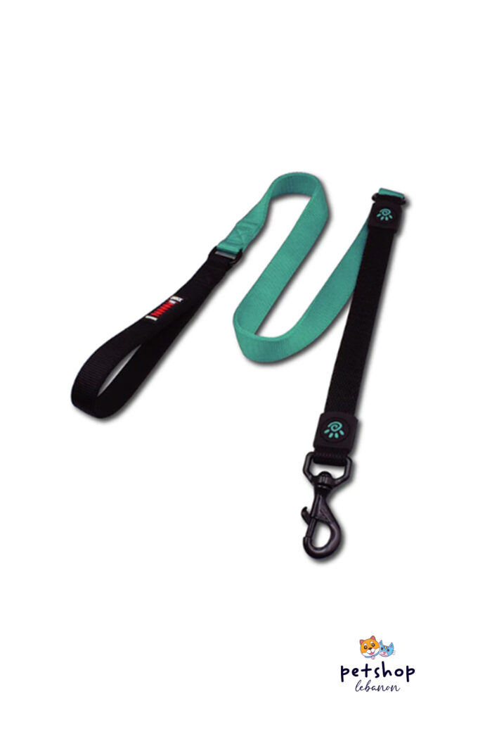 Doco - 4ft Shock Absorbing BUNGEE Nylon Dog Leash Turquoise -dogs-from-PetShopLebanon.Com-the-best-Online-Pet-Shop-in-Lebanon