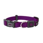 Doco - Signature Nylon Dog Collar - Purple -dogs-from-PetShopLebanon.Com-the-best-Online-Pet-Shop-in-Lebanon