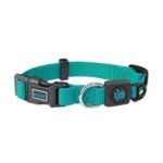 Doco - Signature Nylon Dog Collar - Turquoise -dogs-from-PetShopLebanon.Com-the-best-Online-Pet-Shop-in-Lebanon
