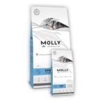 Molly- Kitten Lamb Sensitive 2Kg -from-PetShopLebanon.Com-The-best-online-pet-shop-in-Lebanon