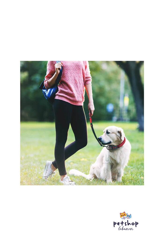 Doco - 22'' Shock Absorbing BUNGEE Nylon Dog Leash Cover -dogs-from-PetShopLebanon.Com-the-best-Online-Pet-Shop-in-Lebanon