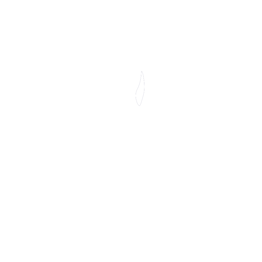 Pet Society Lebanon