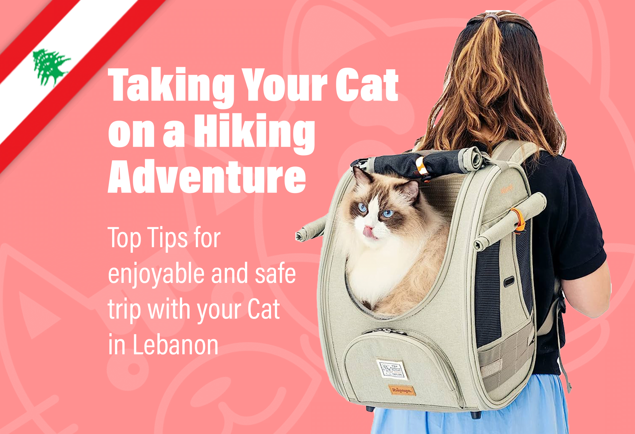 Hiking Cat in Lebanon Best tips for safe and enjoyable trip with your Cat