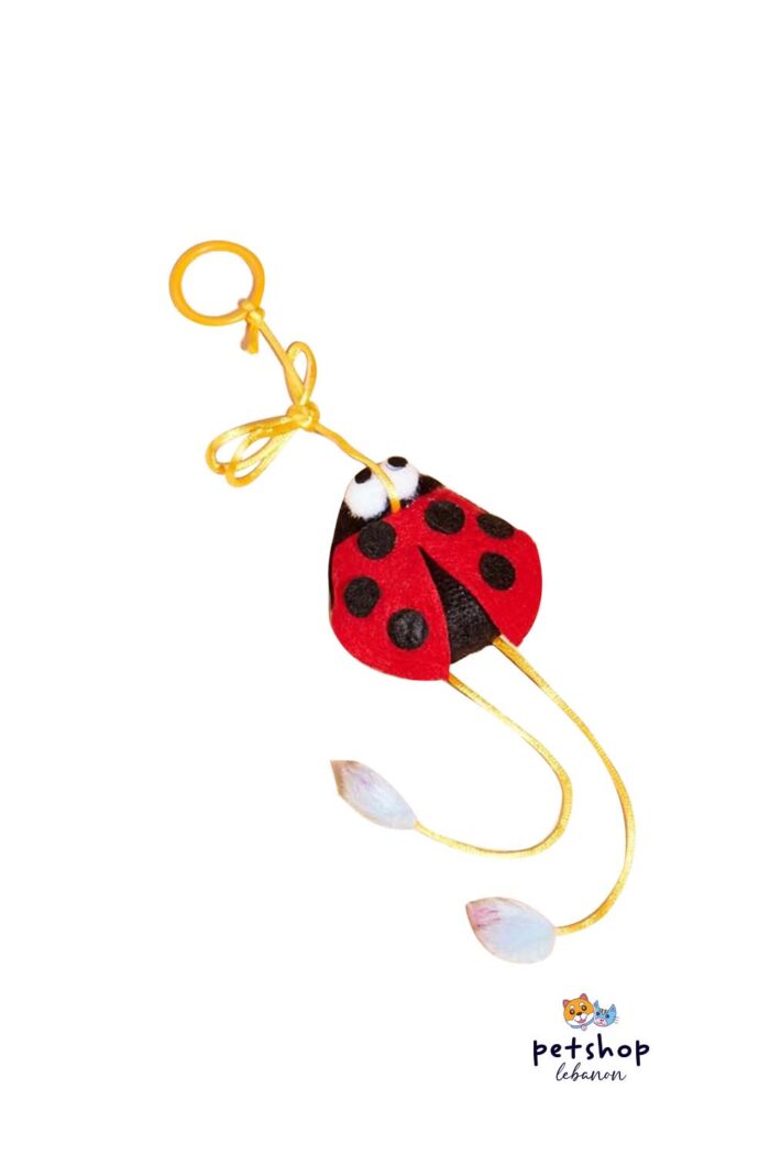 PetSociety -4P- Cat Toy LadyBug on Elastic band With Ring -cats-from-PetShopLebanon.Com-the-best-Online-Pet-Shop-in-Lebanon