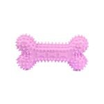 PetSociety - 4P-Dog Toy Chewing Sparkly Bone 11cm -dogs-from-PetShopLebanon.Com-the-best-Online-Pet-Shop-in-Lebanon