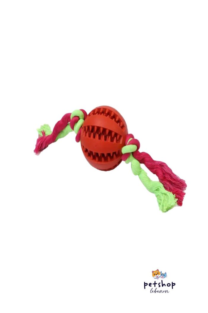 PetSociety- 4P-Dog Toy Dental ball with Rope-red large - 2 sizes M and L- Template