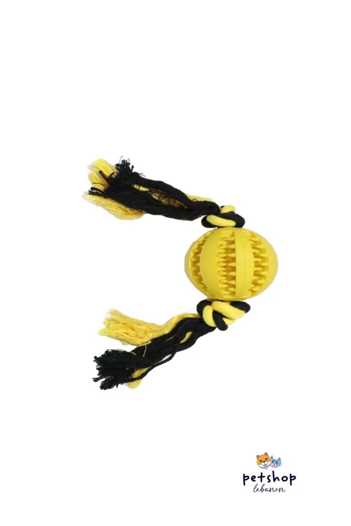PetSociety- 4P-Dog Toy Dental ball with Rope-yellow small - 2 sizes M and L- Template
