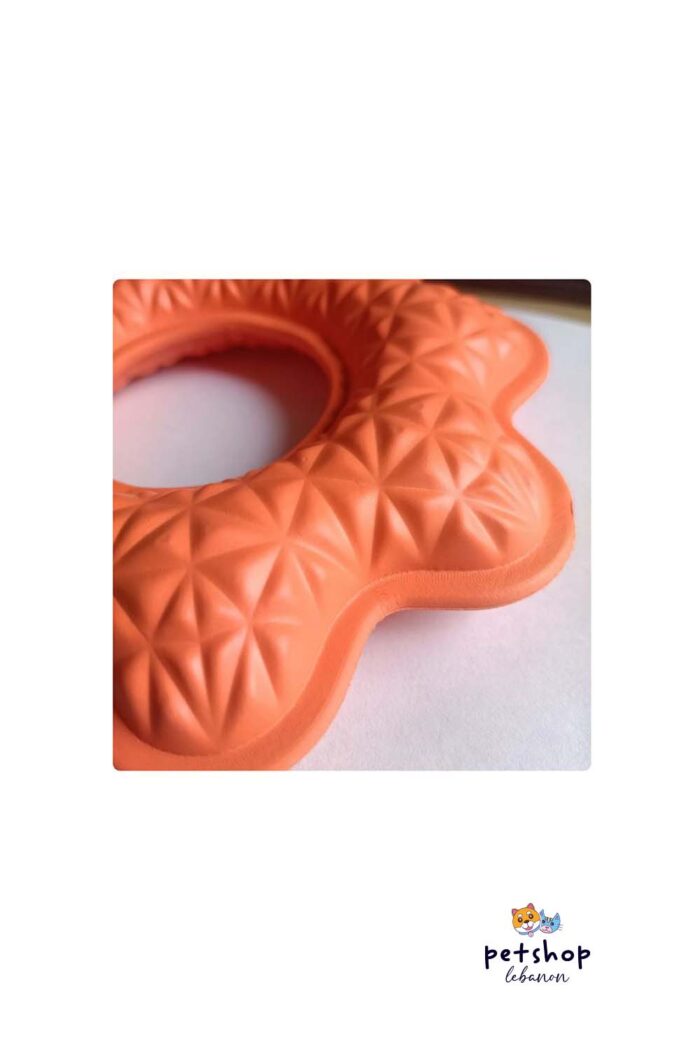 PetSociety - 4P-Dog Toy - Foam Chewing Ring - Flower Shape C2 -dogs-from-PetShopLebanon.Com-the-best-Online-Pet-Shop-in-Lebanon