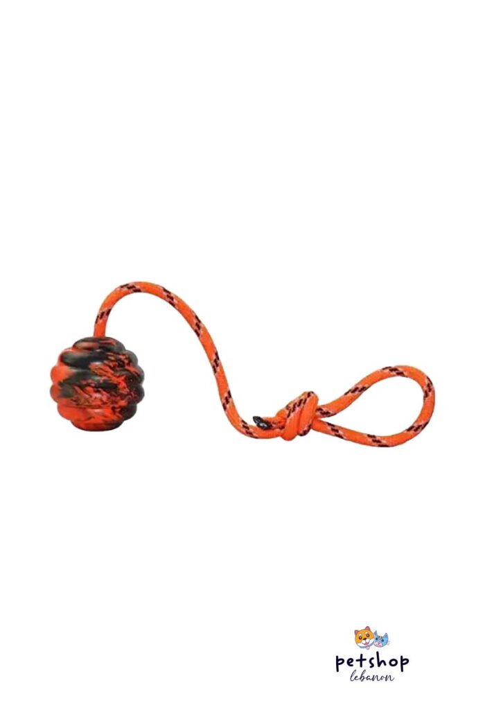 PetSociety - 4P-Dog Training Rubber Ball With Rope Handle 6cm -dogs-from-PetShopLebanon.Com-the-best-Online-Pet-Shop-in-Lebanon