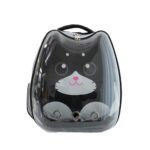 PetSociety- Backpack carrier Clear Window with cute kitten printed Pattern - Template