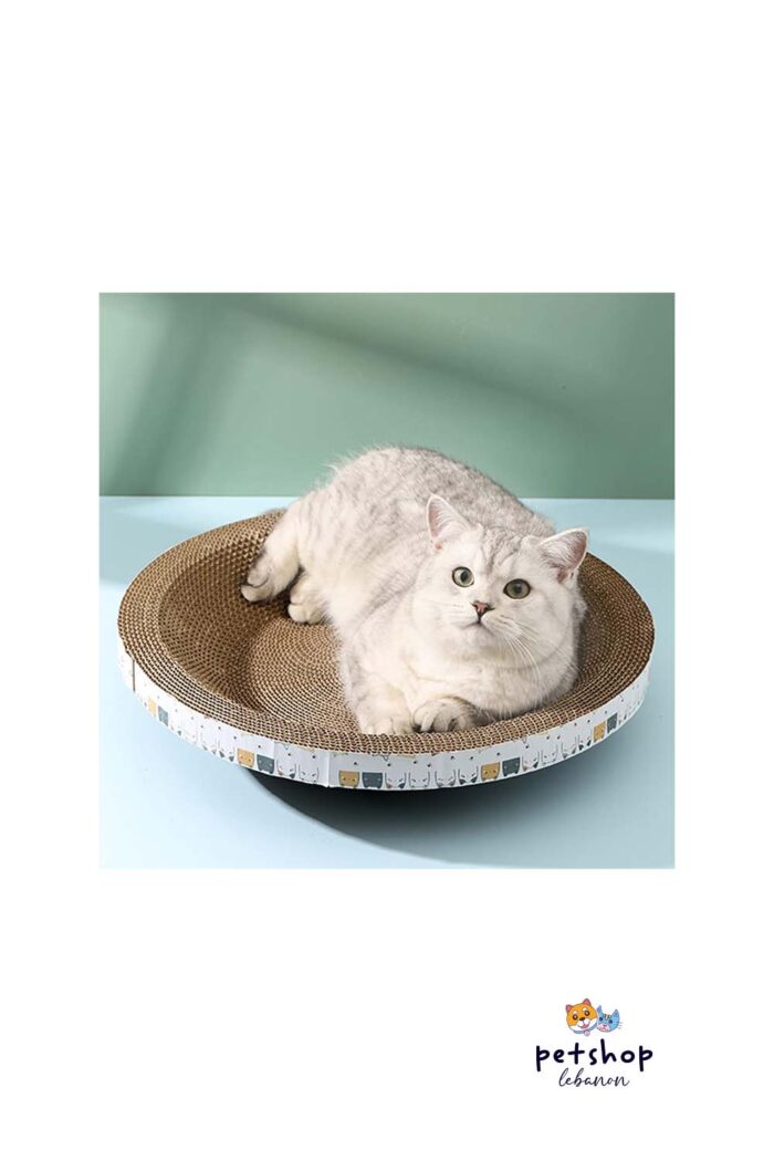 PetSociety - Carton Rounded Scratcher - cover picture -cats-from-PetShopLebanon.Com-the-best-Online-Pet-Shop-in-Lebanon