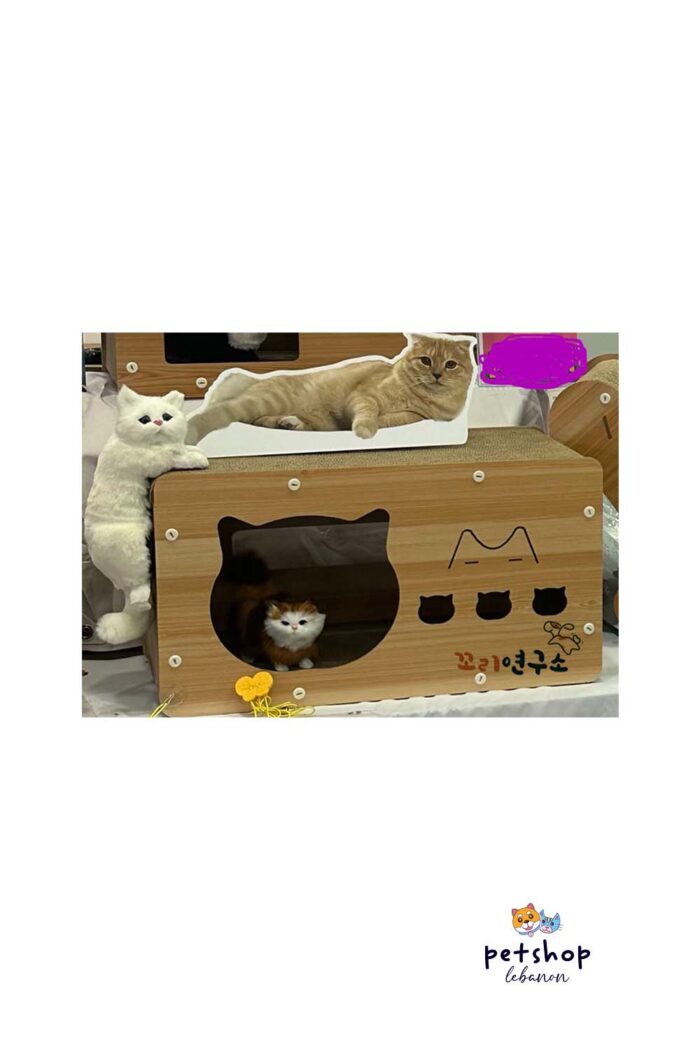 PetSociety -Cat Wooden House Scratcher rectangular Shape cover 2 -cats-from-PetShopLebanon.Com-the-best-Online-Pet-Shop-in-Lebanon