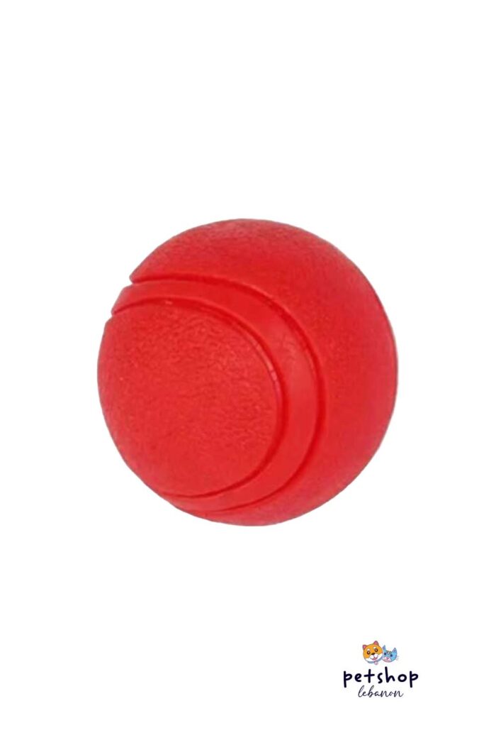 PetSociety - Dog Bouncing Tennis Ball -dogs-from-PetShopLebanon.Com-the-best-Online-Pet-Shop-in-Lebanon