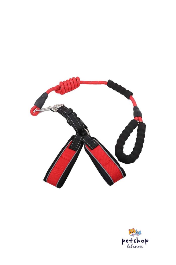 PetSociety - Dog Leash with Harness and soft sponge handle -dogs-from-PetShopLebanon.Com-the-best-Online-Pet-Shop-in-Lebanon