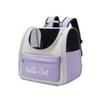 PetSociety -Hello cat purple -cats-from-PetShopLebanon.Com-the-best-Online-Pet-Shop-in-Lebanon