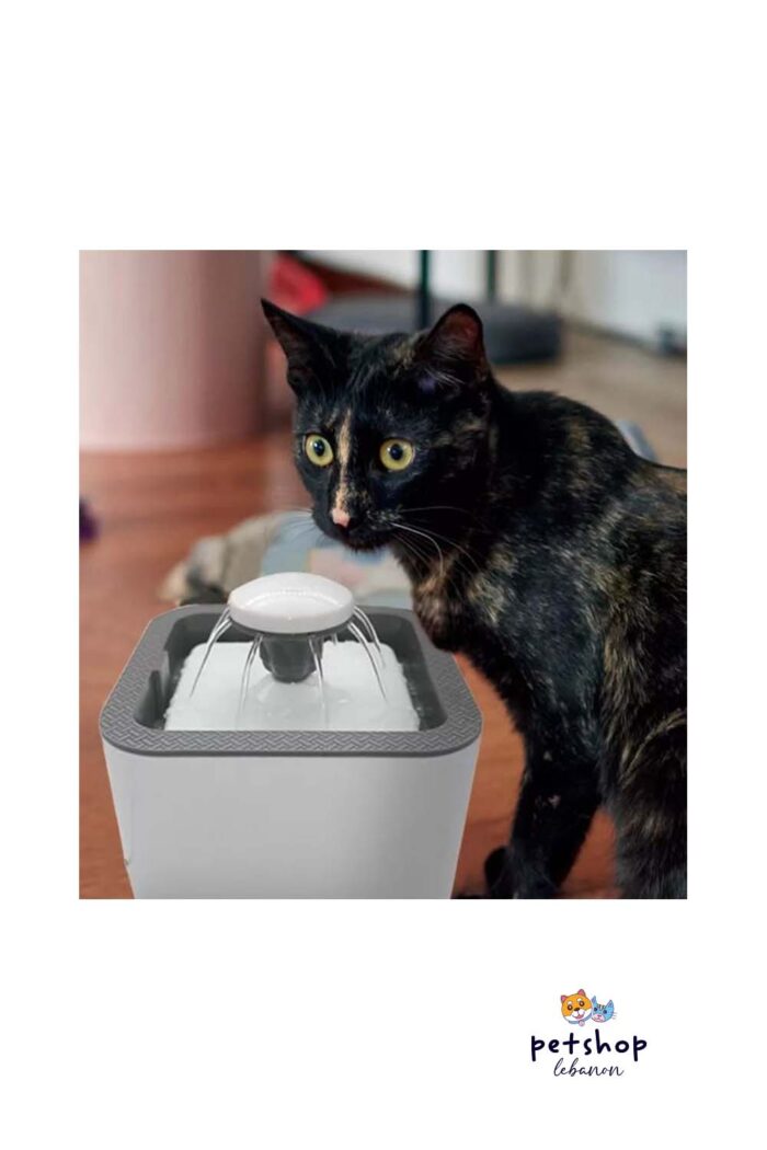 PetSociety - Pet Plastic Electrical Water Fountain cover -pets-from-PetShopLebanon.Com-the-best-Online-Pet-Shop-in-Lebanon