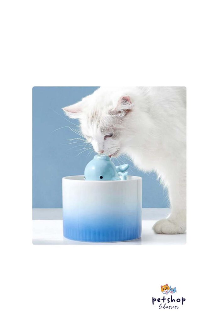 PetSociety - Pet Water Fountain Ceramic ( whale and Mashroom ) C-cats-from-PetShopLebanon.Com-the-best-Online-Pet-Shop-in-Lebanon