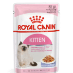 Royal Canin Kitten Jelly Wet Food For Cat 85g