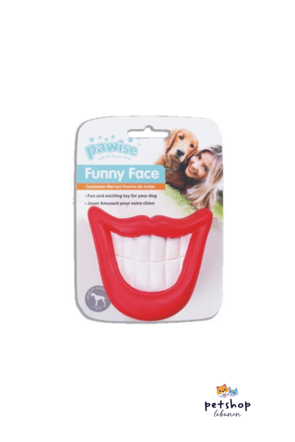Pawise Funny Face Dog Toy