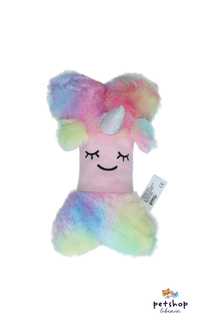 Pawise Follow The  Rainbow Plush Dog Toy