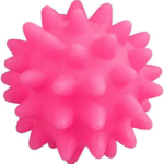PAWISE Dog toy Ball