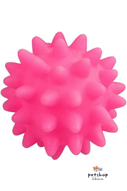 PAWISE Dog toy Ball