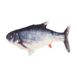 Fish Electronic Cat Toy