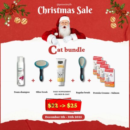 Christmas Bundle Cat