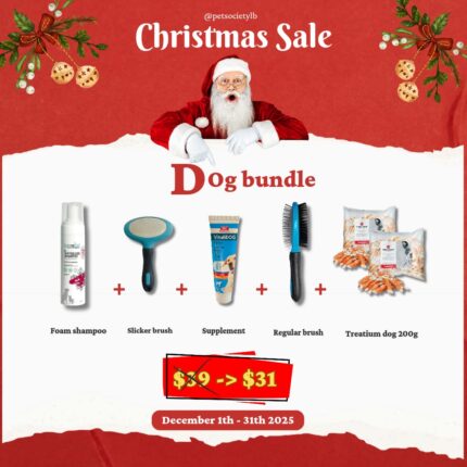 Christmas Bundle Dog